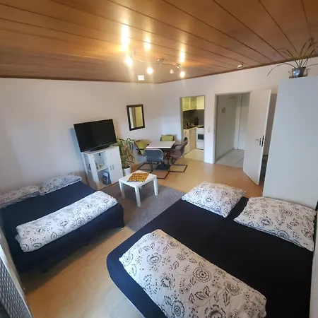 Apartment Einzimmerwohnungmit Grossem Balkon