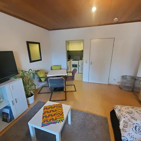 Apartment Einzimmerwohnungmit Grossem Balkon Mietersheim